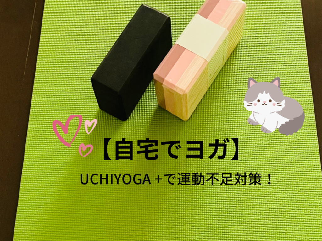 在宅勤務の運動不足対策に！うちヨガ(UCHIYOGA+)がおすすめな人は？